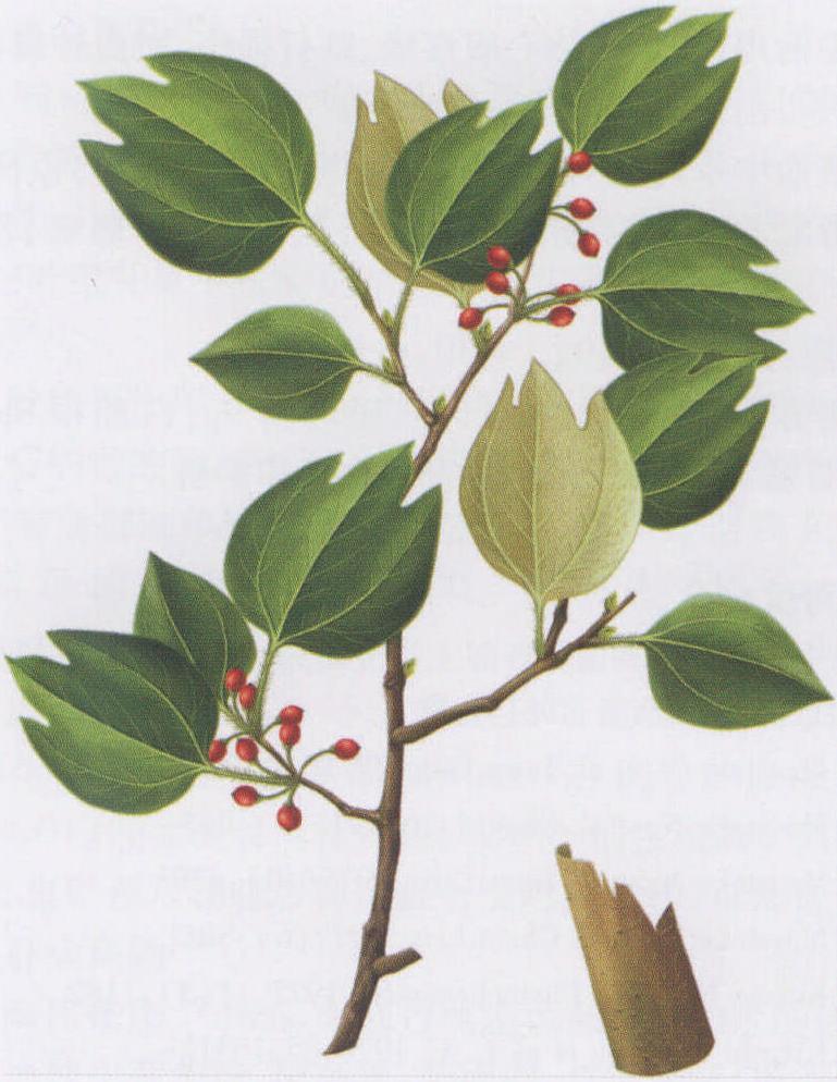 三鉆七